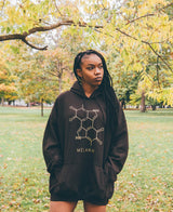A person with long braided hair is wearing a black sweatshirt featuring a molecular design and the word MELANIN. Standing in a park with lush green grass and trees adorned with yellow leaves, their hands are casually tucked into the hoodie pockets.